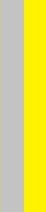 Silver with yellow